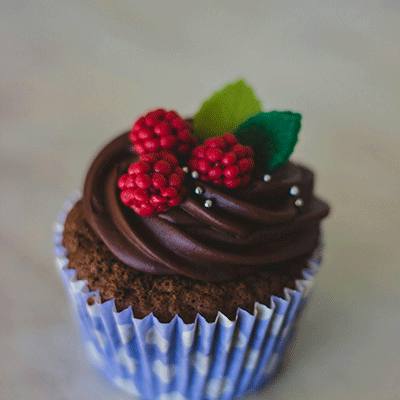 chocolate flavored cupcakes with chocolate frosting
